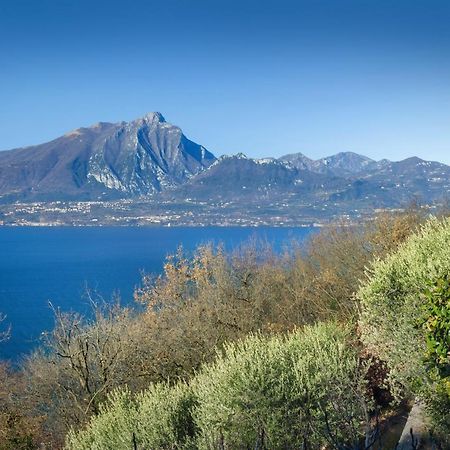 Villetta Blue Panorama With Jacuzzi Torri Del Benaco Exterior foto